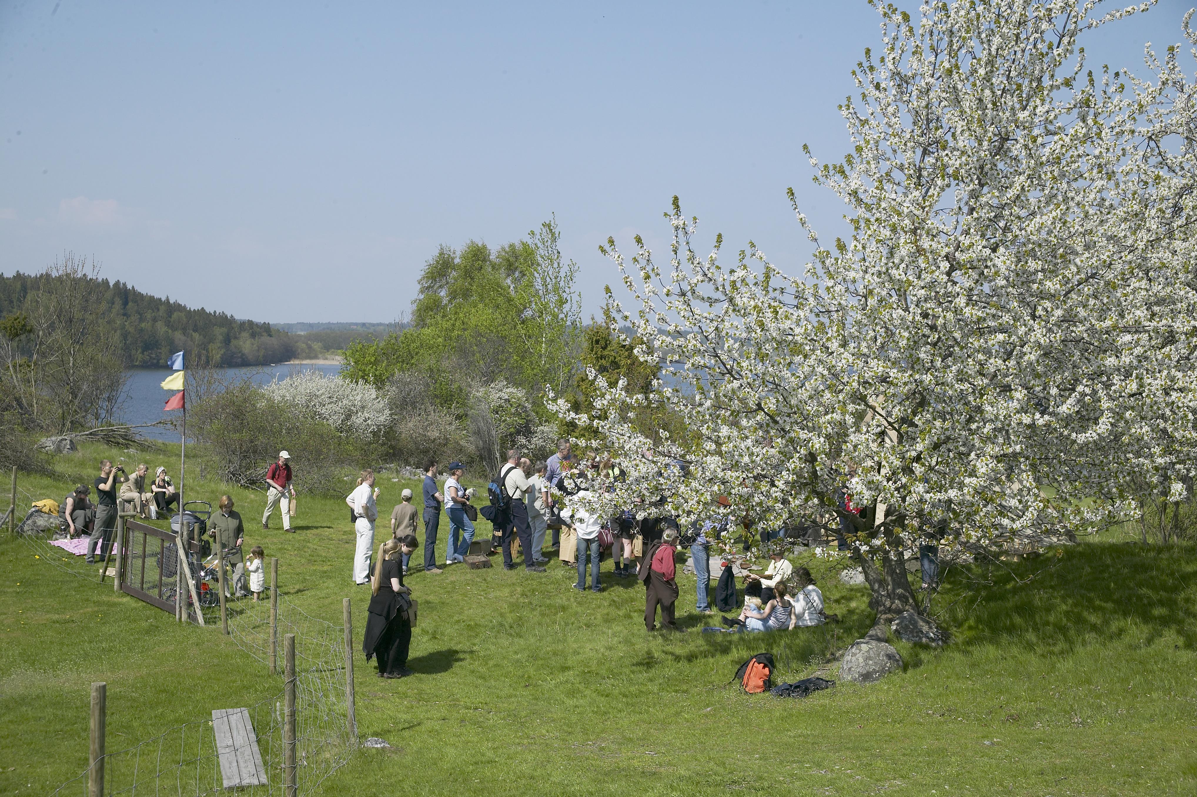 Bengt A Lundberg, Björkö-Birka