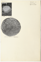 Salnecke, Björkendal. U 869.