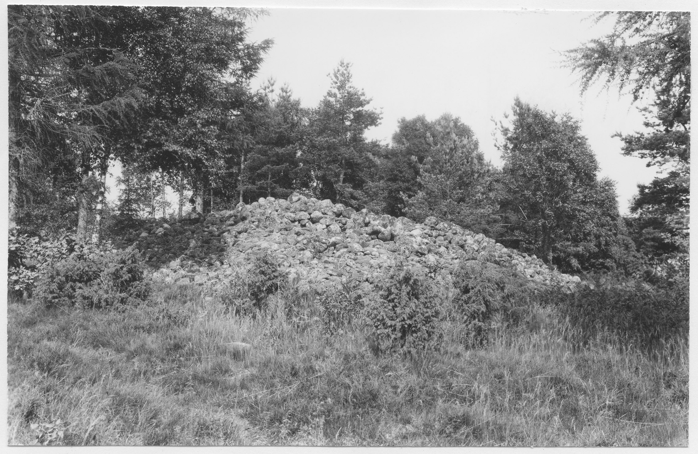 Mårten Sjöbeck, Blädinge