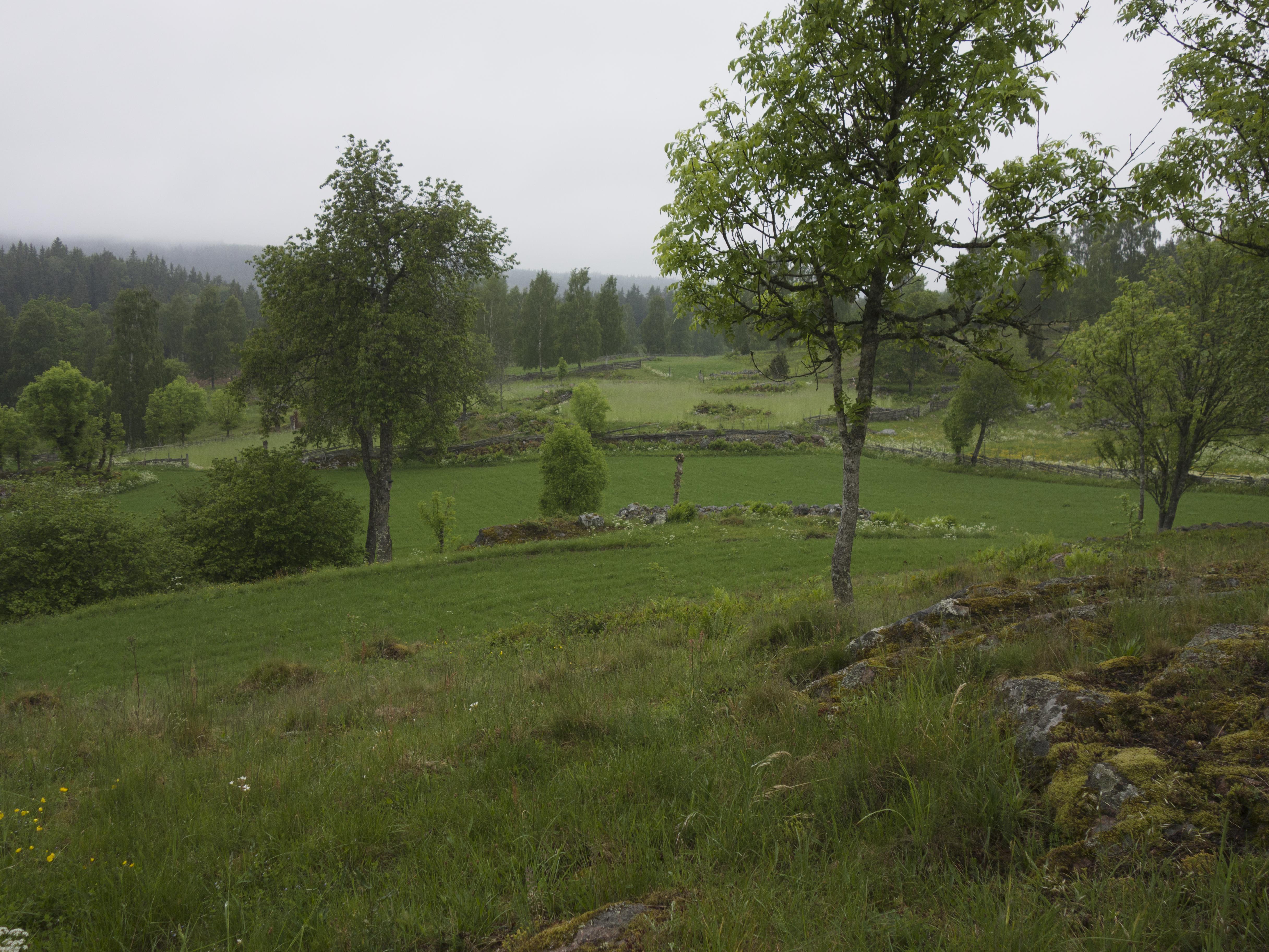 Leif Gren, Åsens by