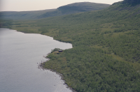 Rautasjaure - Vealebákti