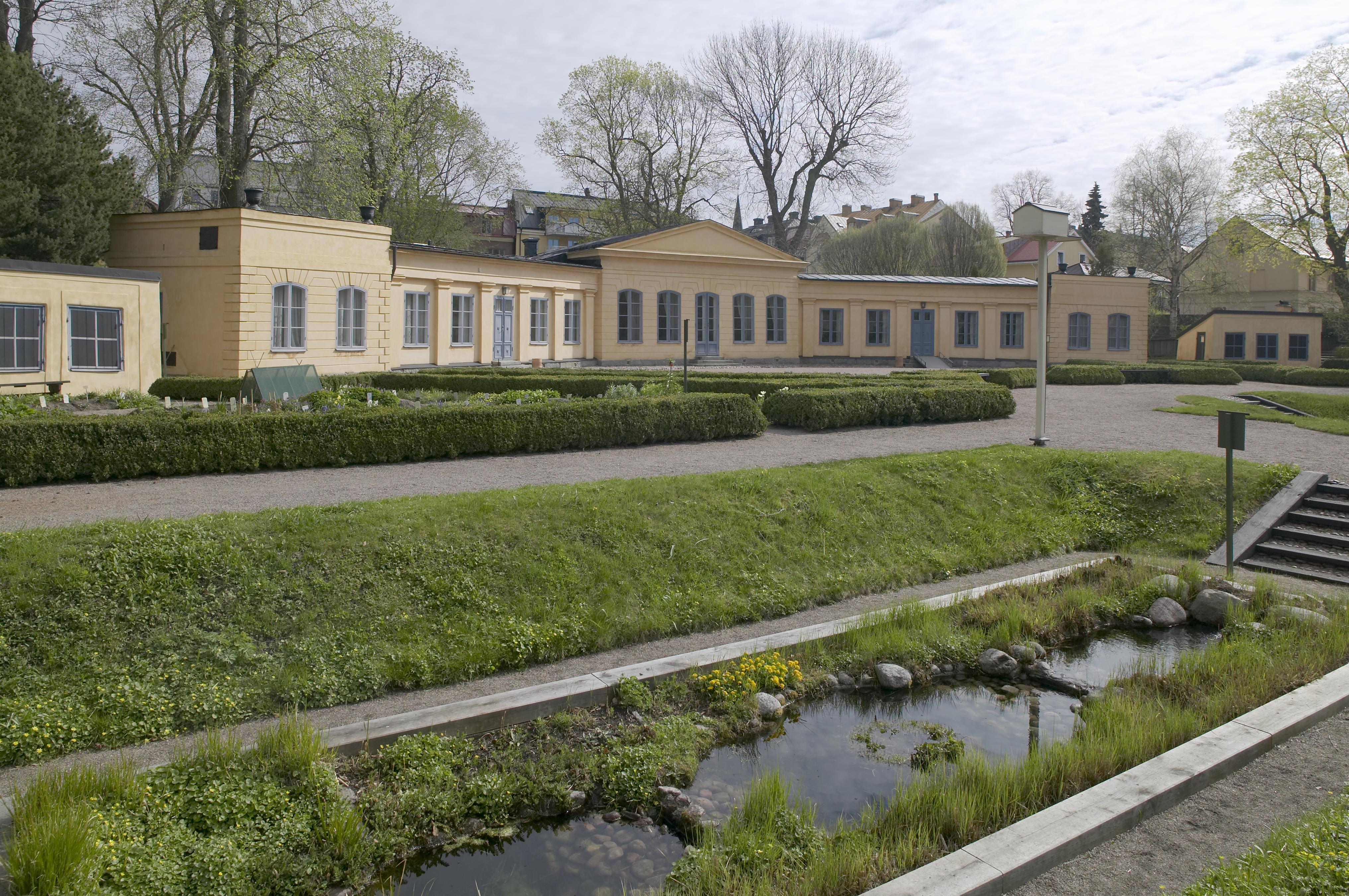 Bengt A Lundberg, Linnéträdgården