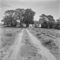 Silvåkra 10, gård 54