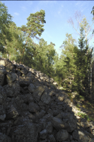 Fornborgen Stora Skansen