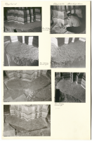 Uppsala Domkyrka. U 922.