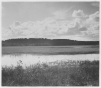 Starrmyr öster om Tingvalla station