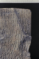 Image of DR NOR1999;21