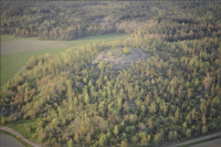 Husby-Långhundra 156:1