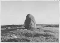 Järnåldersgravfält mellan Södra Sandby och Sandbyborg