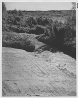 Torsbo ällristningar