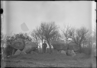 Snarringe dubbeldös