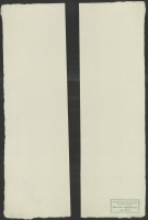 [Uppsala domkyrkas torn].[Bild]