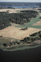 Gåsinge-Dillnäs 415:1