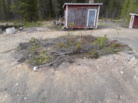 Fångstgrop L2020:3996