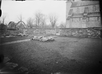 Varnhems klosterruin