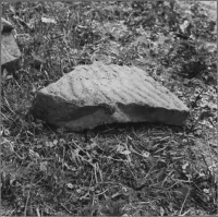 Sigtuna Dominikanerkloster