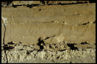 Image of Or Barnes21